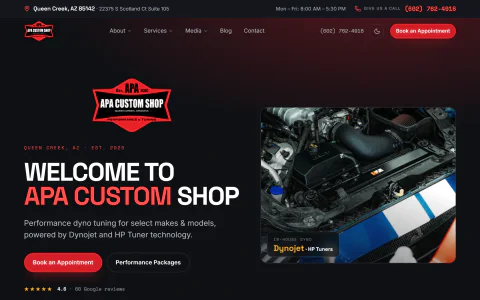 Live screenshot of the APA Custom Shop homepage